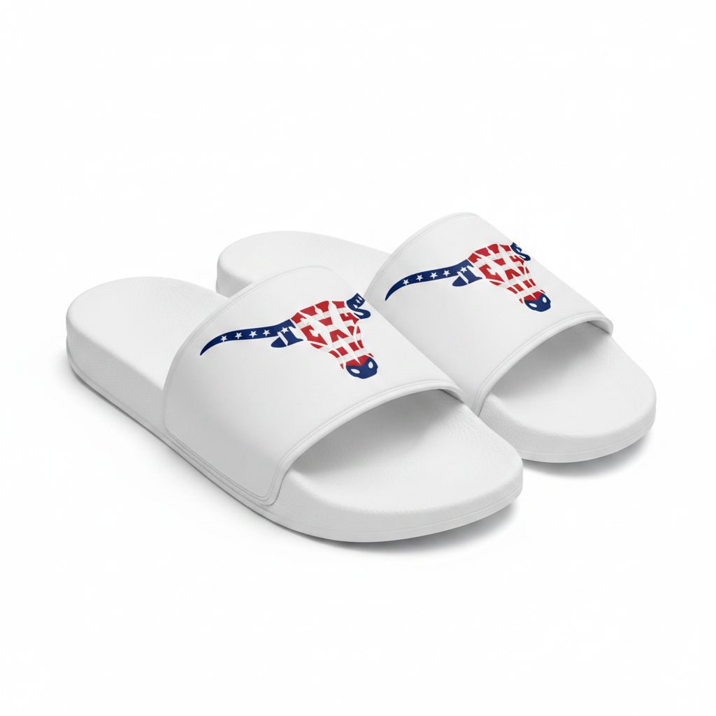 Texas Longhorn 4th of July Slides