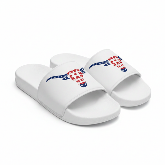 Texas Longhorn 4th of July Slides